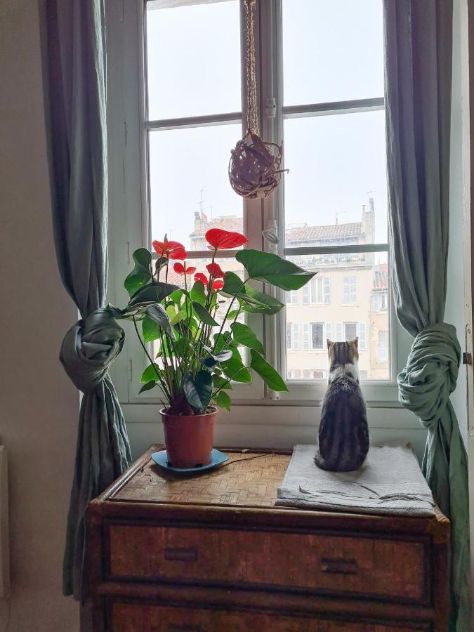 Jolie Chambre Dans Appartement Cosy En Plein Centre Marseille Eksteriør bilde